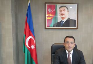 Process of promoting Azerbaijan's non-oil products to Korean market started - ambassador