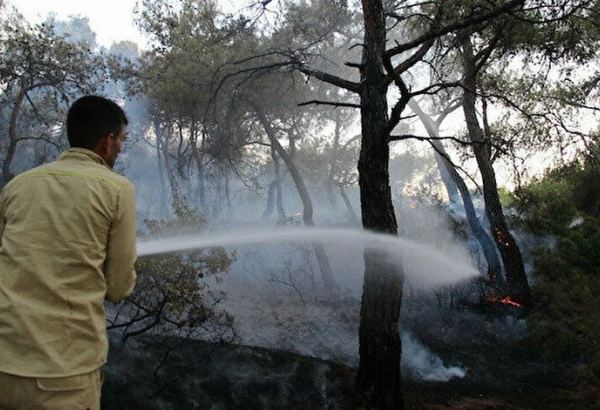 Tarım ve Orman Bakanı Pakdemirli açıkladı: 98 orman yangınının 88'i kontrol altında