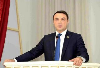 Депутат Эльданиз Салимов исключен из рядов ПЕА