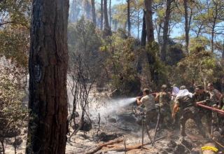 Азербайджанские пожарные продолжают бороться с лесными пожарами в Турции (ФОТО/ВИДЕО)