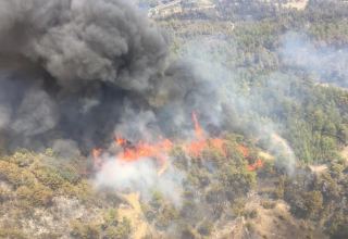 В тушении лесных пожаров в Турции задействуют 20 самолетов и 55 вертолетов