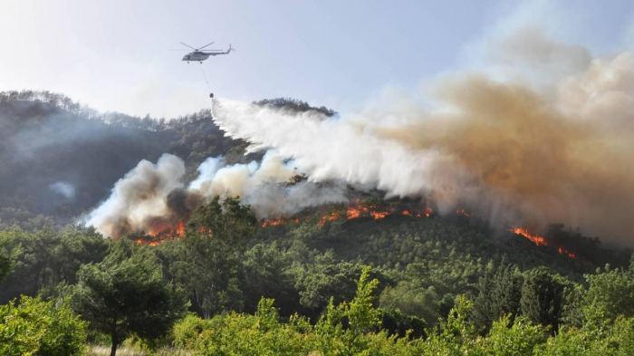 Azerbaijan involves helicopters to put out wildfires in its Sheki