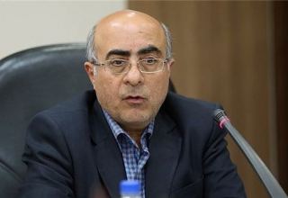 Iranian banks should strengthen control over growth of balance sheet - CBI's Director General