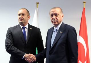 Между лидерами Турции и Болгарии состоялся телефонный разговор