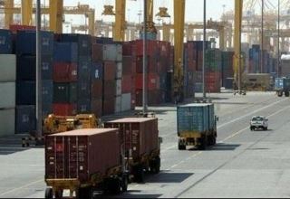 FAO and SCO intend to facilitate cross-border trade