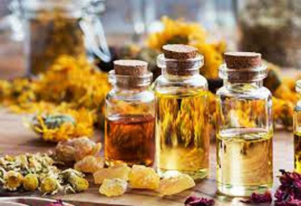 Iran looks to boost revenues with production of essential oils from herbal plants