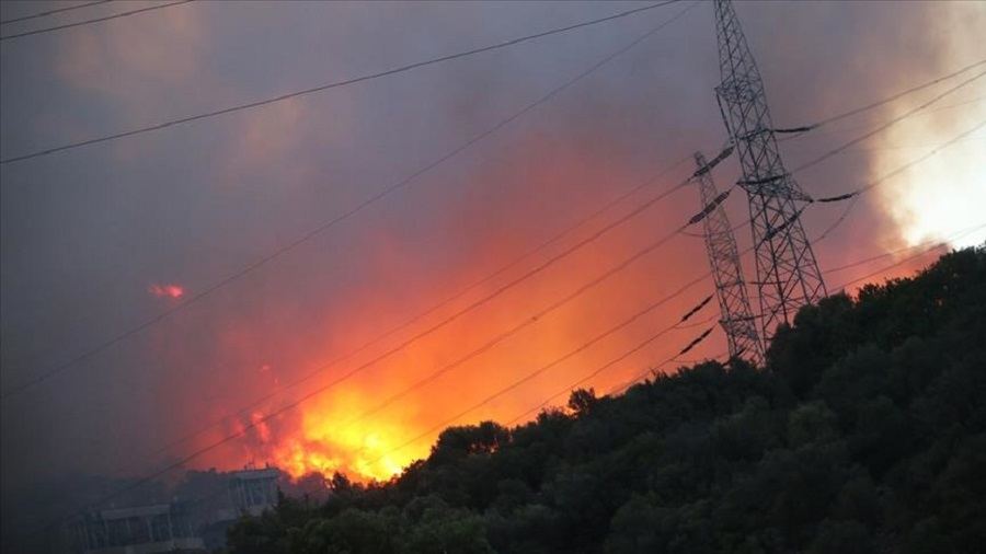 Wildfire engulfs power plant in SW Turkey, prompts evacuation