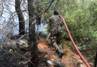 Azerbaijani firefighters continue battling wildfires in Turkey