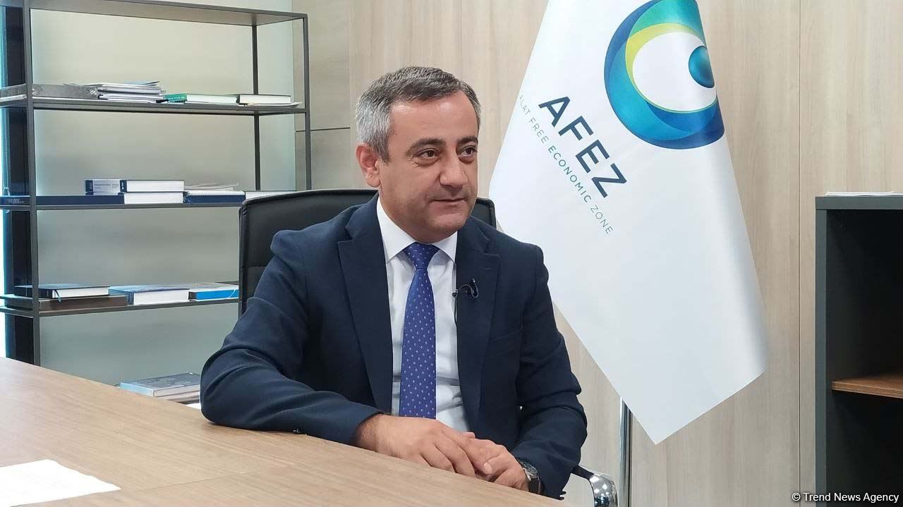 СЭЗ Алят будет способствовать развитию экономики Азербайджана - глава правления (ФОТО/ВИДЕО)