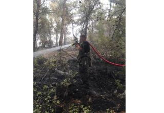 Силы МЧС Азербайджана продолжают успешную борьбу с пожарами в Турции (ФОТО/ВИДЕО)