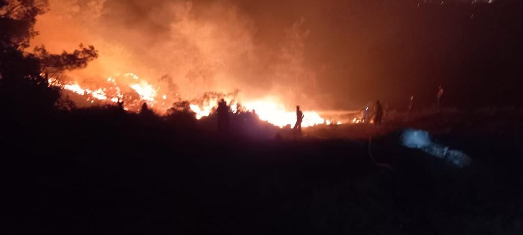 Пожарно-спасательные силы МЧС Азербайджана продолжают операции по тушению лесных пожаров в Турции (ФОТО/ВИДЕО)
