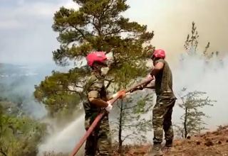 Azerbaijani fire and rescue forces continue firefighting operations in Turkey (PHOTO/VİDEO)