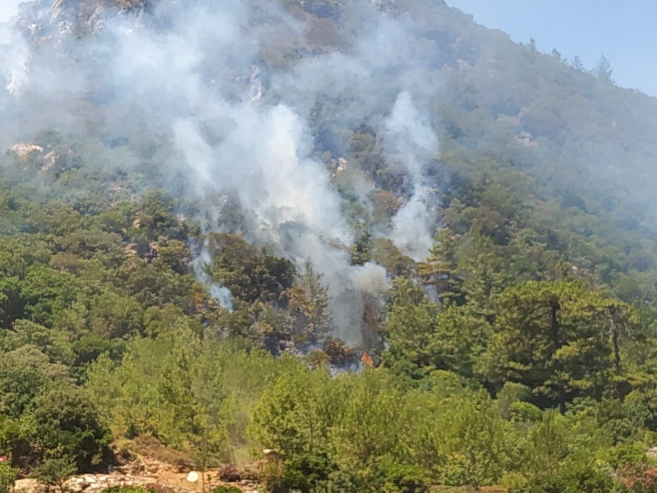 Пожарно-спасательные силы МЧС проводят операции по тушению пожаров в Турции (ФОТО/ВИДЕО)