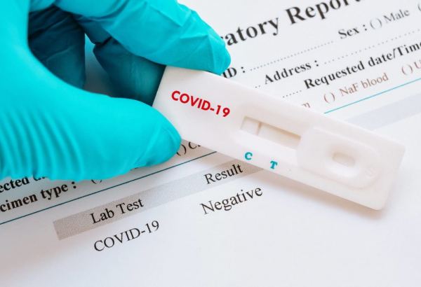Outbreak alert: members of Georgia's government test positive for COVID-19