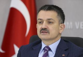 Благодарим всех наших азербайджанских братьев за поддержку в борьбе с пожарами - турецкий министр