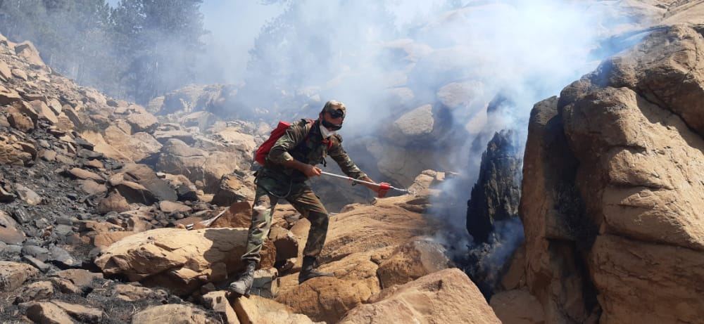 Подразделения МЧС Азербайджана продолжают борьбу с лесными пожарами в Турции и в ночное время (ФОТО/ВИДЕО)