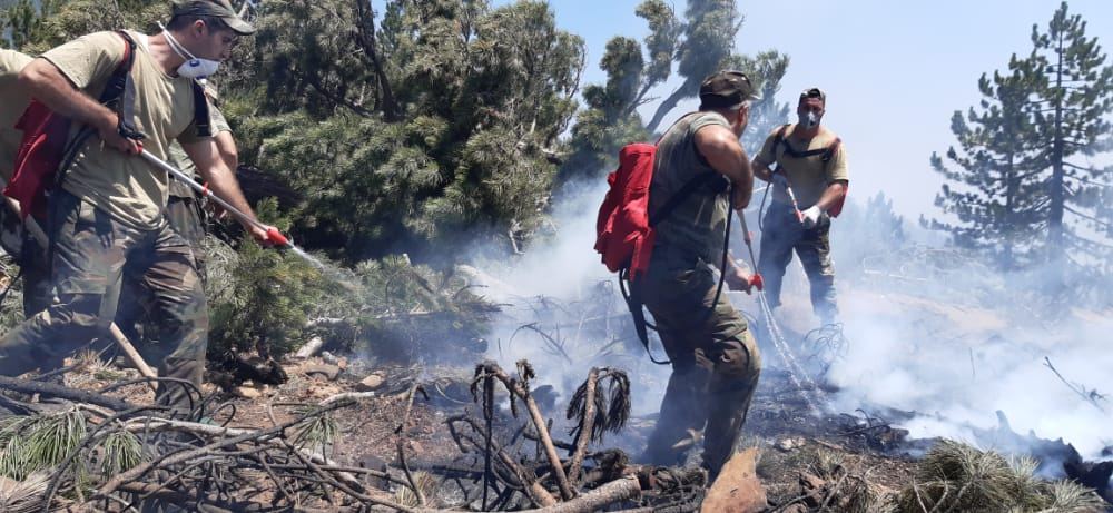 Azerbaijani Emergency Ministry's units continue fighting wildfires in Turkey (PHOTO)