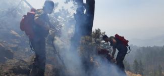 Подразделения МЧС Азербайджана продолжают борьбу с лесными пожарами в Турции и в ночное время (ФОТО/ВИДЕО)