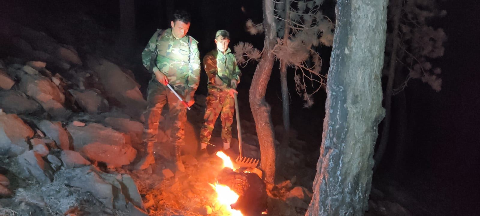 FHN qüvvələrinin fəaliyyət göstərdiyi Muğlada meşə yanğınları tam söndürülüb (FOTO/VİDEO)