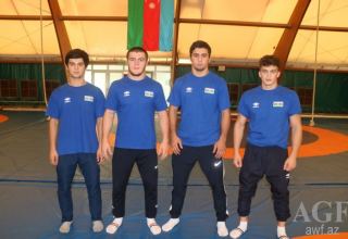 В полуфинал ЧМ по борьбе в России вышли 4 азербайджанских спортсмена