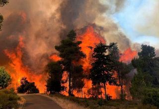 На севере Марокко взяли под контроль крупный лесной пожар