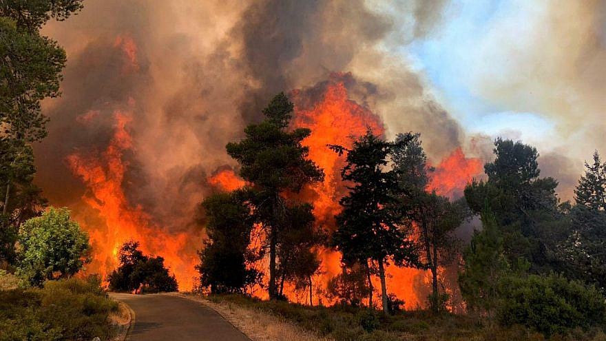 Major wildfire spreads in Israel's Jerusalem mountains