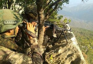 Pençe Şimşek bölgesinde iki PKK’lı terörist öldürüldü