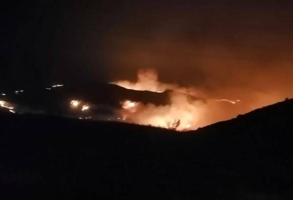 Пожар в Агсуинском районе перекинулся на лесополосу (ФОТО/ВИДЕО)