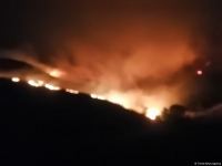 Fire in Azerbaijan's Aghsu spreads to forest belt (PHOTO/VIDEO)
