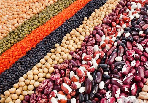 Uzbek company increasing supply of legumes to Azerbaijan