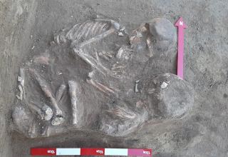 На территории древнего поселения Лелетепе обнаружены артефакты периода неолита - АН Азербайджана (ФОТО)