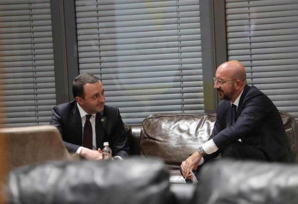 Gürcüstanın baş naziri Avropa İttifaqı Şurasının prezidenti ilə görüşüb