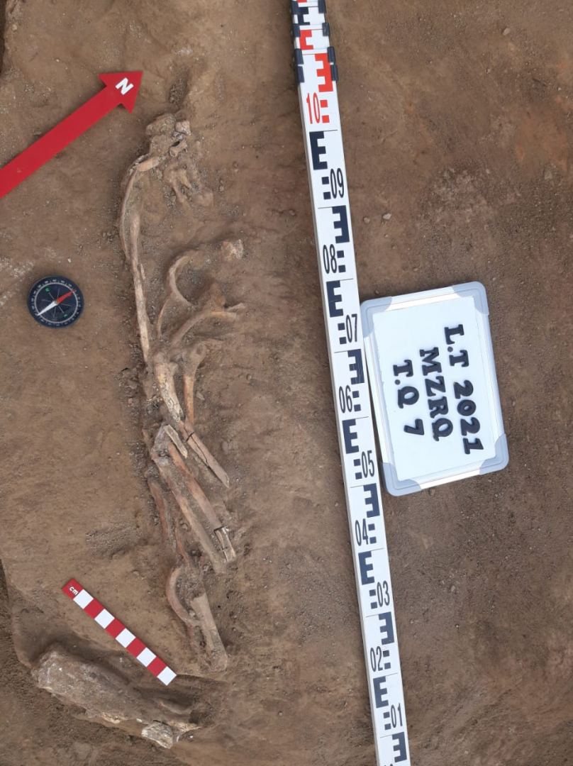 Azerbaijani scientists discover Neolithic artifacts in ancient Lalatapa settlement (PHOTO)