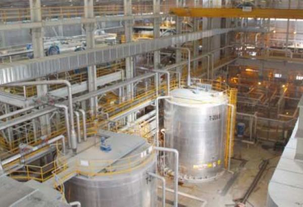 Russia's PhosAgro starts supplying liquid complex fertilizer to Azerbaijan - CEO