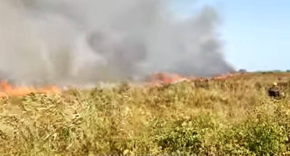 Ветер затрудняет тушение пожара в Гызылагаджском заповеднике - МЧС (ВИДЕО)