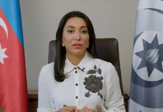 Azerbaijani Ombudsman appeals to int'l organizations in connection with mine threat