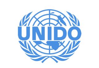 UNIDO to offer expertise for Turkmen energy sector