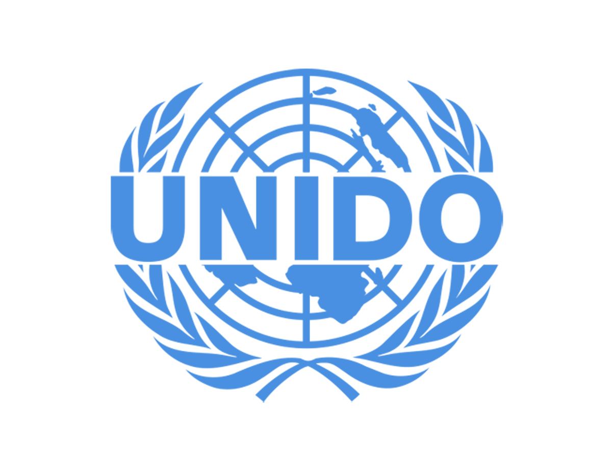 UNIDO talks priorities under new co-op framework with Azerbaijan