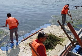 В Мингячевире бассейн Куры очищен от бытовых отходов (ФОТО)