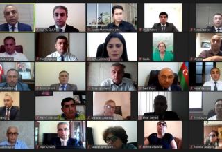 В Азербайджане состоялась онлайн-конференция по случаю Международного дня жертв насильственных исчезновений (ФОТО)