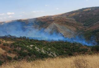 Пожар в Исмаиллинском районе перекинулся на лесополосу