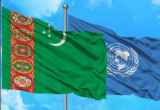 UN launches number of specialized services in Turkmenistan