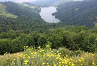 Azerbaijan names locations of future national parks in liberated territories