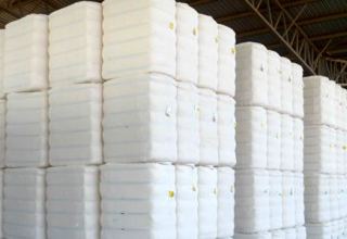 Turkmenistan’s cotton-spinning mill begins products export to China