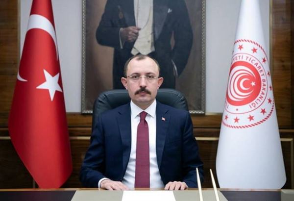 Турция готова снизить таможенные тарифы в грузообороте с тюркоязычными странами – министр