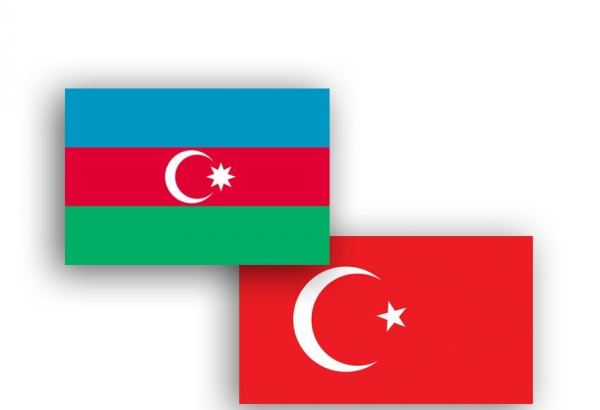 Азербайджан и Турция обменялись опытом в сфере регулирования тарифов на рынке электроэнергии