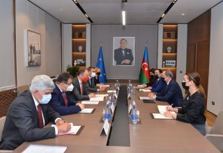 Глава МИД Азербайджана обсудил со спецпредставителем ЕС по Южному Кавказу ситуацию в регионе (ФОТО)