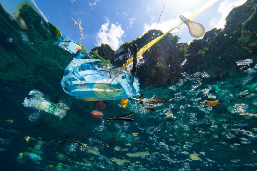 В Средиземном море отследили тысячи тонн пластикового мусора
