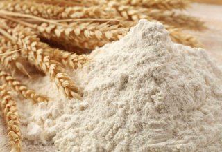 Turkmen enterprise talks flour production data