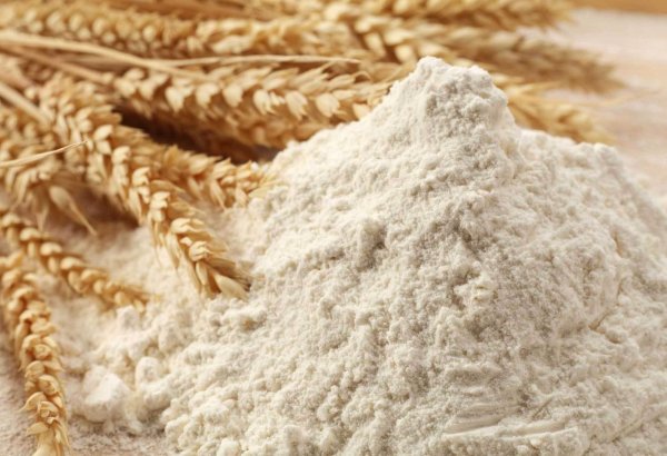 Turkmen enterprise reveals indicators of flour production